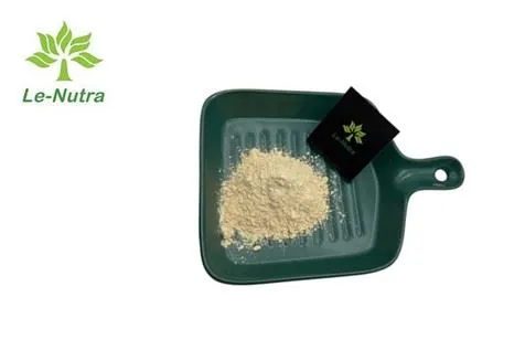 7-Ethyl-10-Hydroxycamptothecin