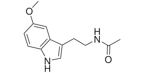 Bulk Melatonin Powder