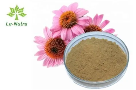 Powdwr echdynnu Echinacea Purpurea