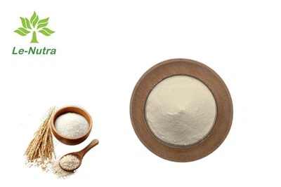 Protein reis hydrolysed