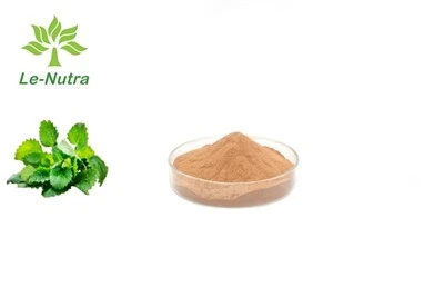 Detholiad Deilen Balm Lemon